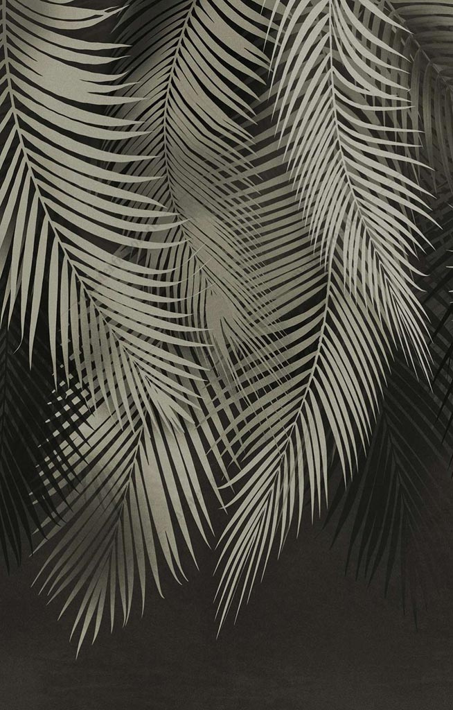 Фотообои Пальмовые листья. Чёрный фон
