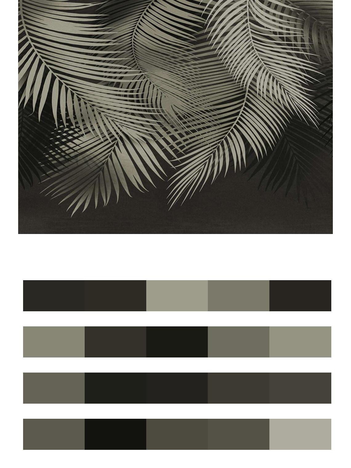 Пальмовые листья. Чёрный фон цвета